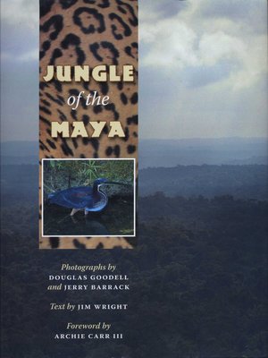 cover image of Jungle of the Maya